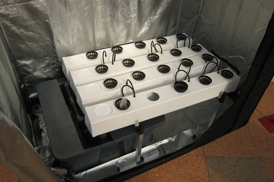 Grow box: di che si tratta?