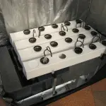 Grow box: di che si tratta?