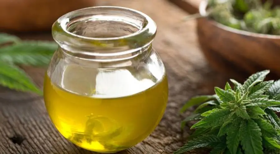 Come scegliere un Buon Olio CBD
