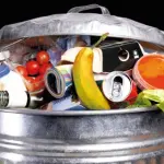 Mangiare placenta fa bene o male?